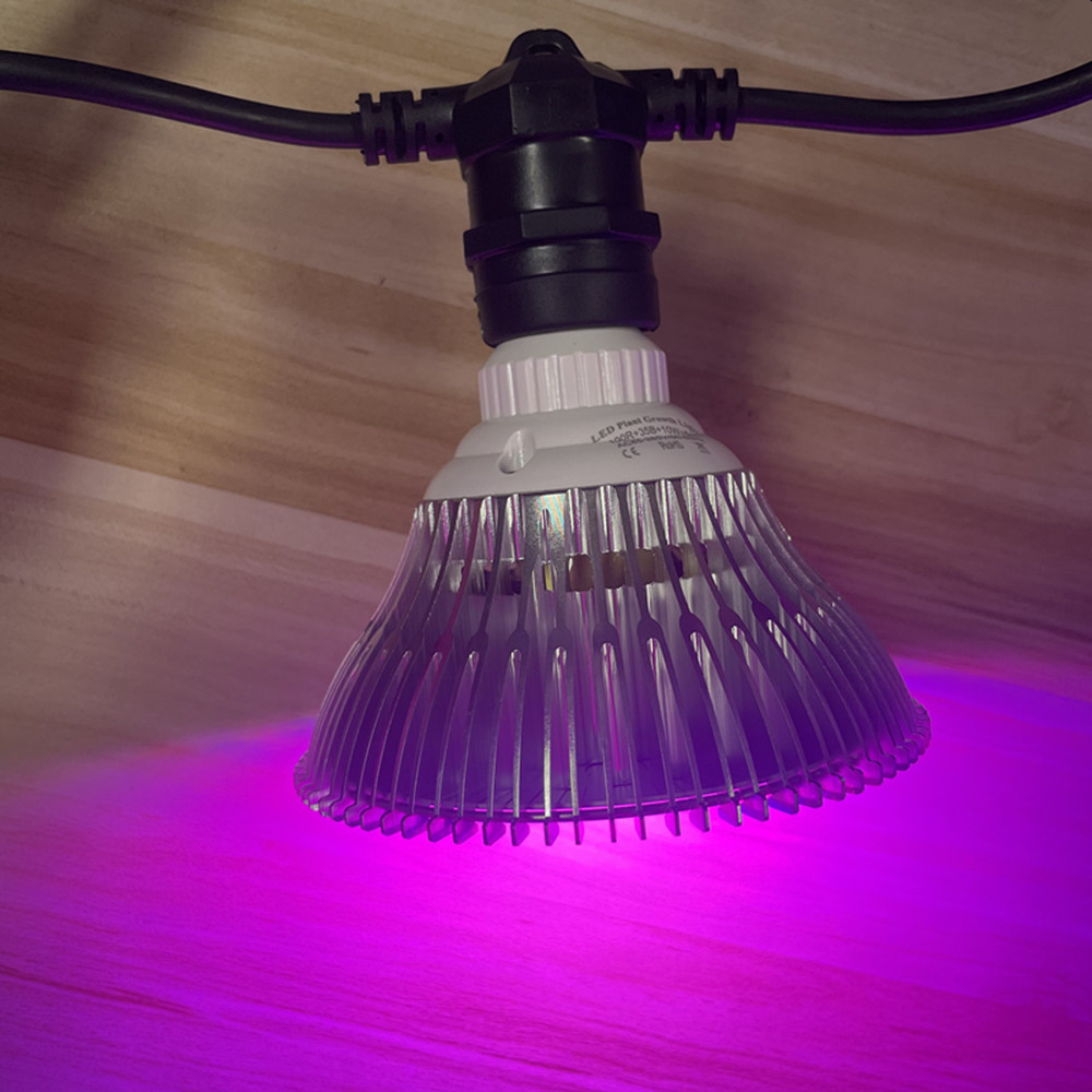 10M Kablo LED Dize Işık Zincir - Outdoor Lighting In Ground incelemesi ve fiyatı
